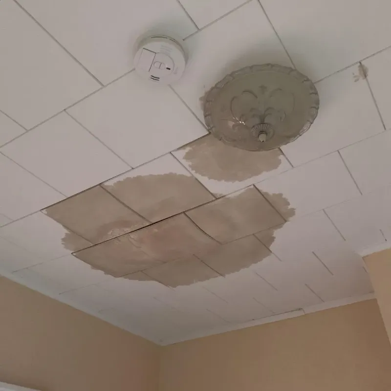 Ceiling Water Damage Repair in South Patrick Shores, FL